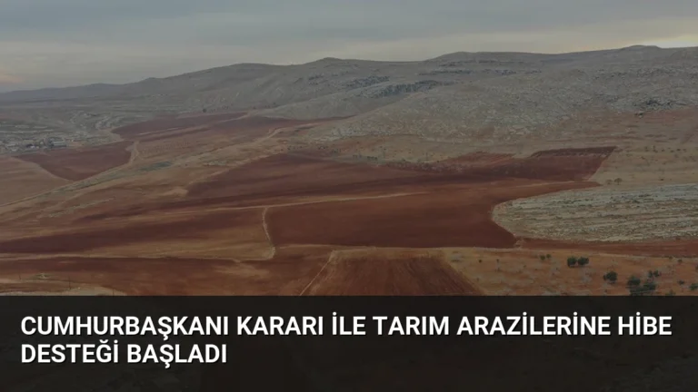 Cumhurbaşkanı Kararı ile Tarım Arazilerine Hibe Desteği Başladı