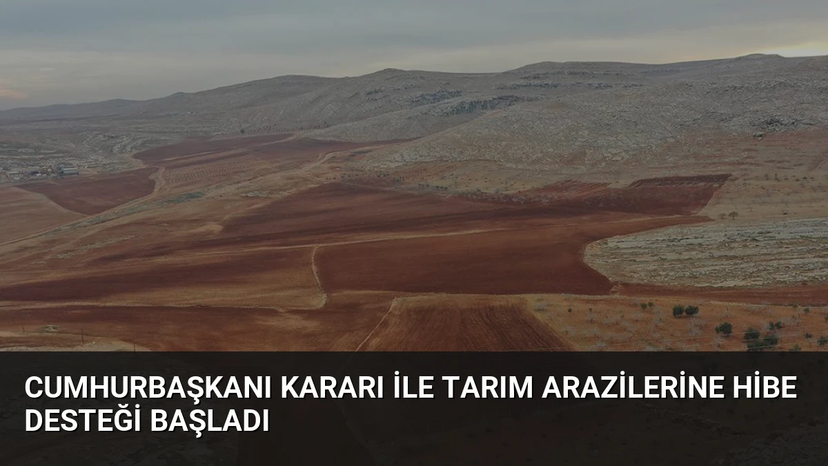 Cumhurbaşkanı Kararı ile Tarım Arazilerine Hibe Desteği Başladı