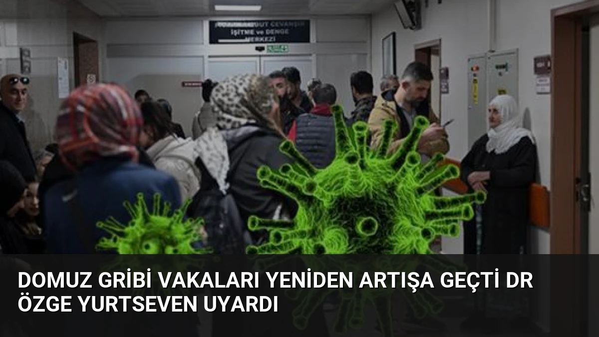 Domuz Gribi Vakaları Yeniden Artışa Geçti Dr Özge Yurtseven Uyardı