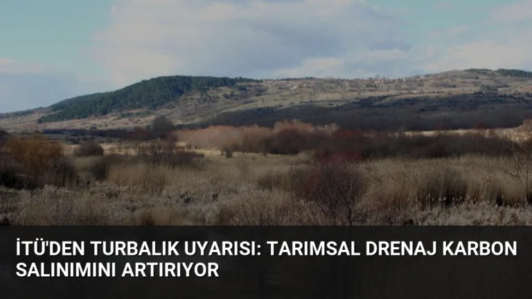 İTÜ’den Turbalık Uyarısı: Tarımsal Drenaj Karbon Salınımını Artırıyor