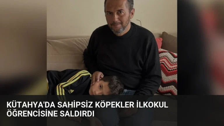 Kütahya’da Sahipsiz Köpekler İlkokul Öğrencisine Saldırdı