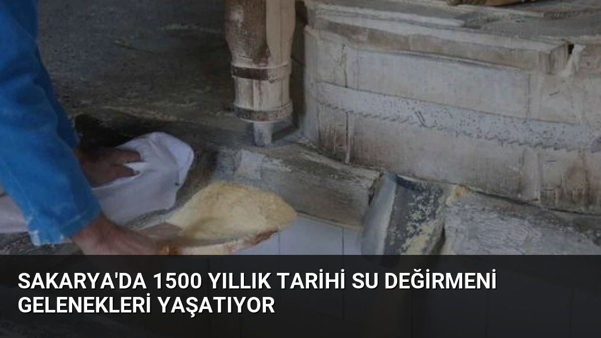 Sakarya’da 1500 Yıllık Tarihi Su Değirmeni Gelenekleri Yaşatıyor