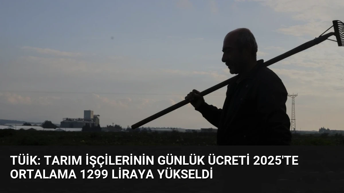 TÜİK: Tarım İşçilerinin Günlük Ücreti 2025’te Ortalama 1299 Liraya Yükseldi