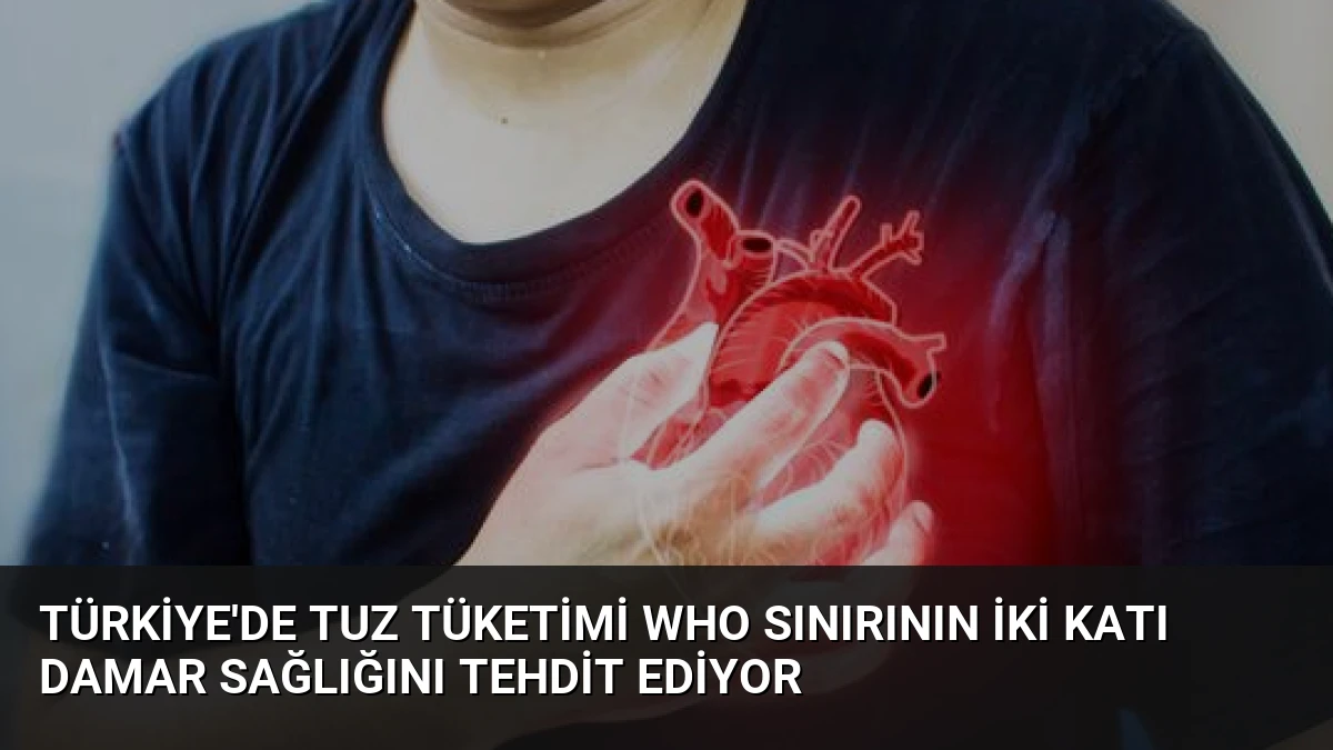Türkiye’de Tuz Tüketimi WHO Sınırının İki Katı Damar Sağlığını Tehdit Ediyor
