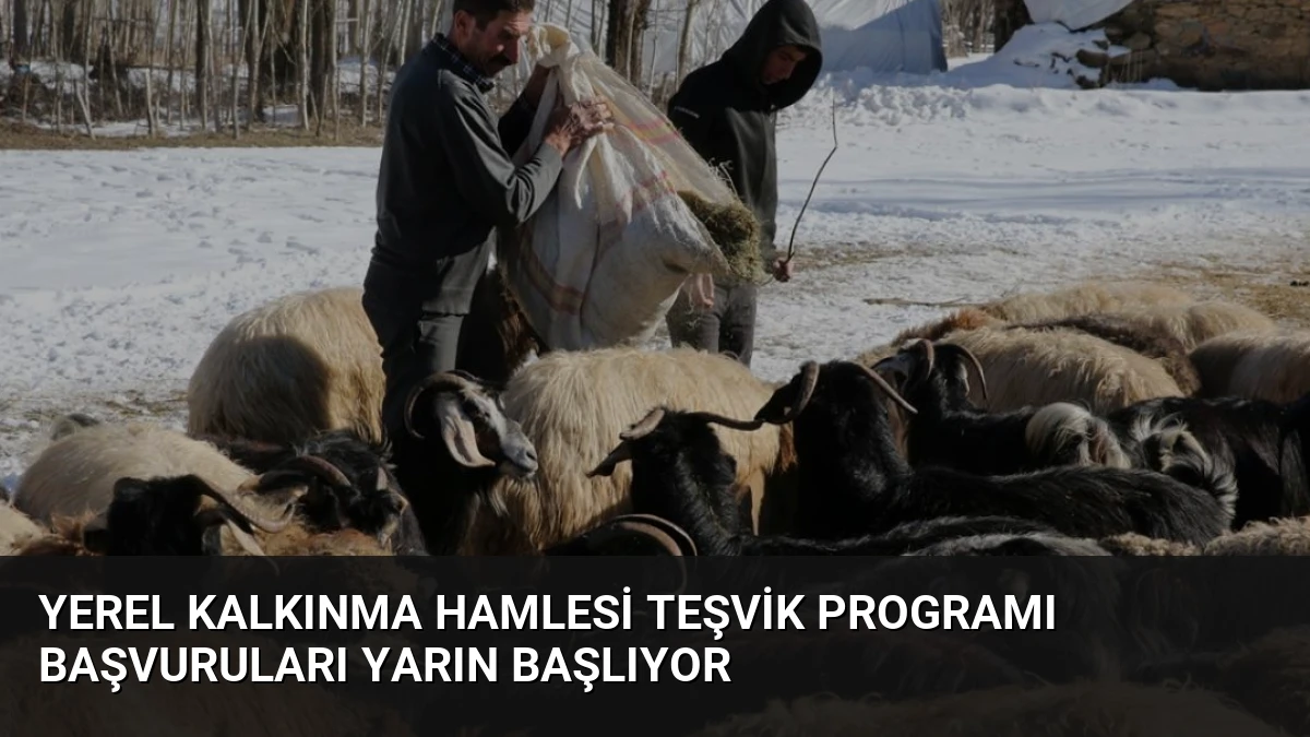 Yerel Kalkınma Hamlesi Teşvik Programı Başvuruları Yarın Başlıyor