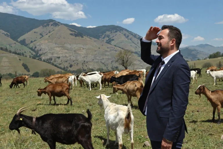 Harun Çevik: “Damızlık Küçükbaş Hayvancılık, Anadolu’nun Geleceğine Yapılan Yatırımdır”