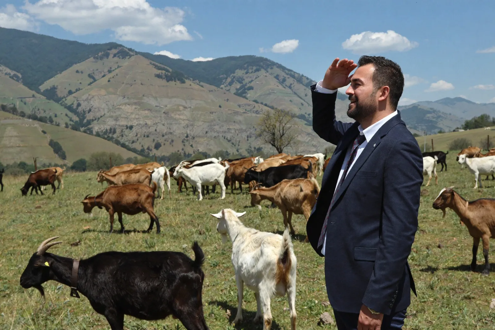 Harun Çevik: “Damızlık Küçükbaş Hayvancılık, Anadolu’nun Geleceğine Yapılan Yatırımdır”