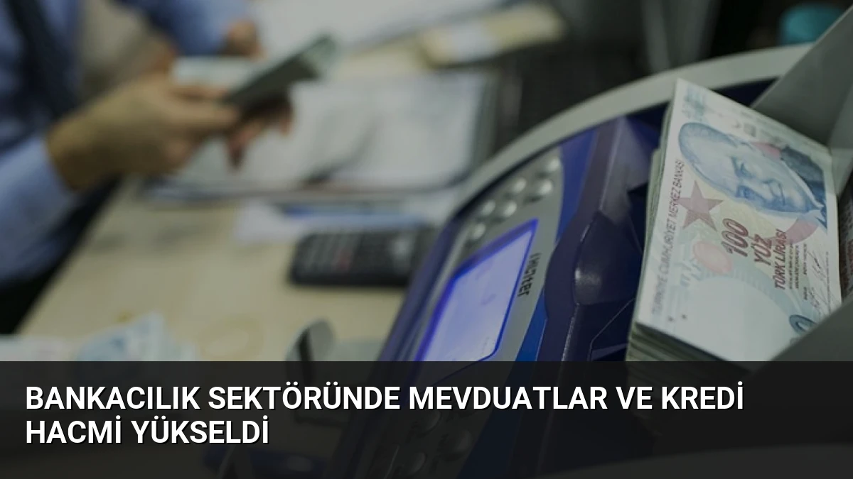 Bankacılık Sektöründe Mevduatlar ve Kredi Hacmi Yükseldi