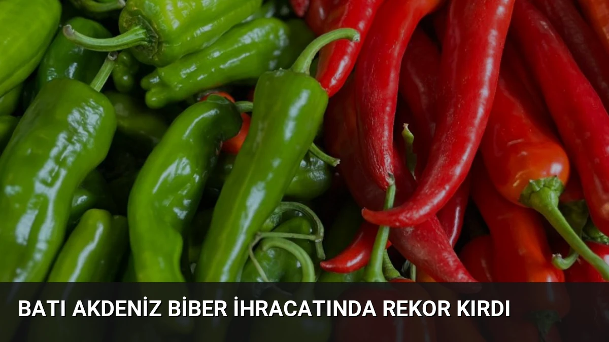 Batı Akdeniz Biber İhracatında Rekor Kırdı