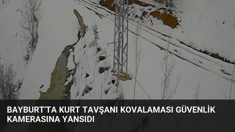 Bayburt’ta Kurt Tavşanı Kovalaması Güvenlik Kamerasına Yansıdı