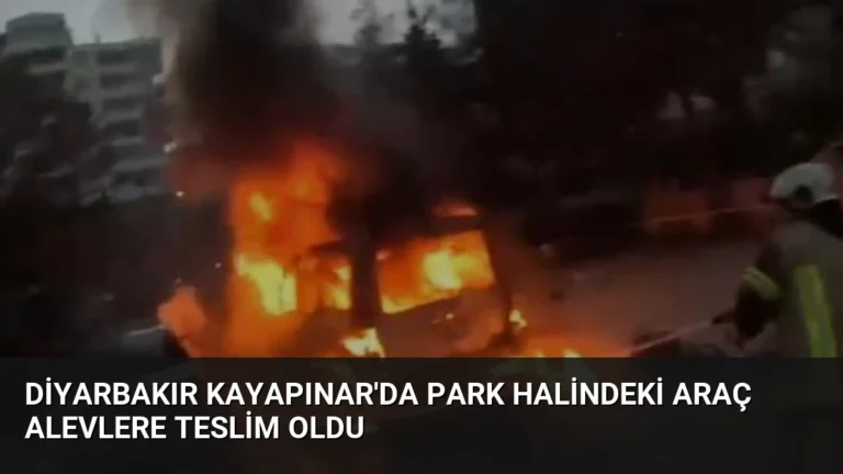 Diyarbakır Kayapınar’da Park Halindeki Araç Alevlere Teslim Oldu