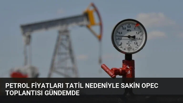 Petrol Fiyatları Tatil Nedeniyle Sakin OPEC Toplantısı Gündemde