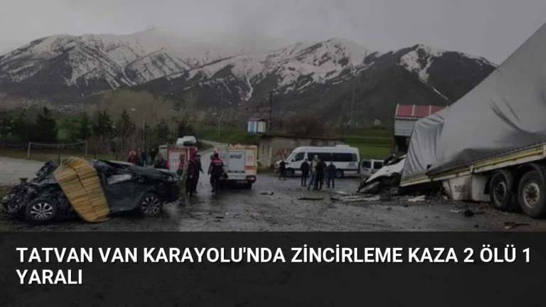 Tatvan Van Karayolu’nda Zincirleme Kaza 2 Ölü 1 Yaralı