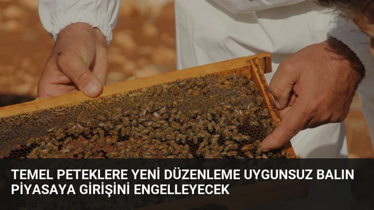 Temel Peteklere Yeni Düzenleme Uygunsuz Balın Piyasaya Girişini Engelleyecek
