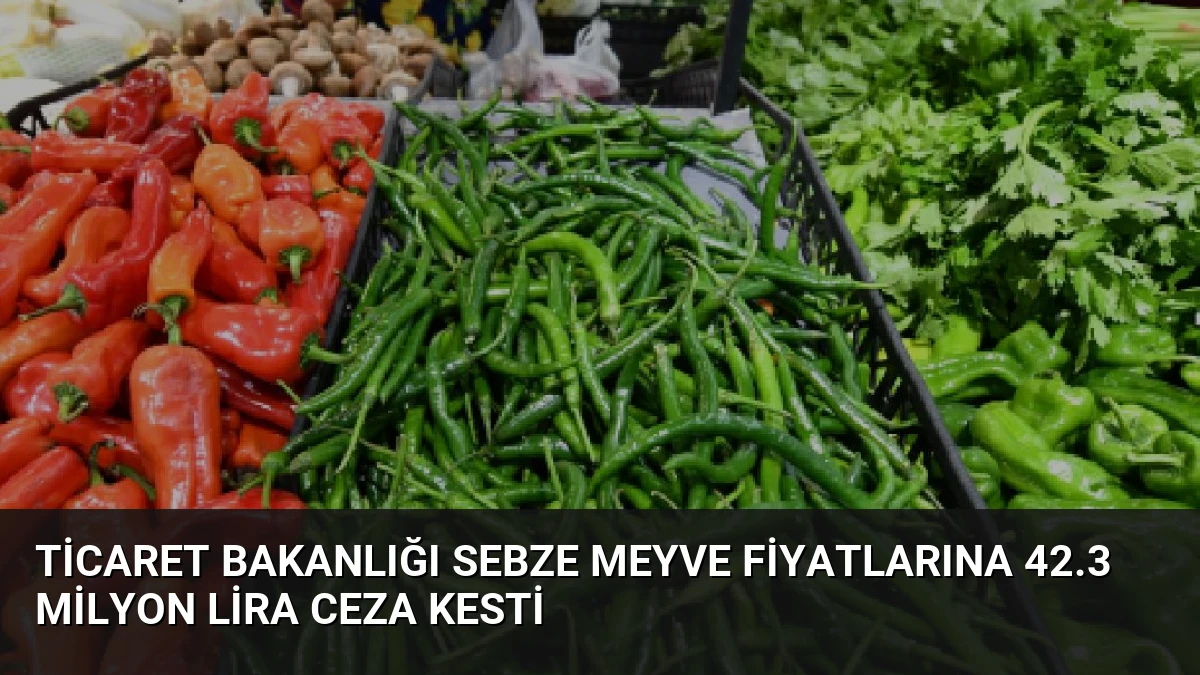 Ticaret Bakanlığı Sebze Meyve Fiyatlarına 42.3 Milyon Lira Ceza Kesti