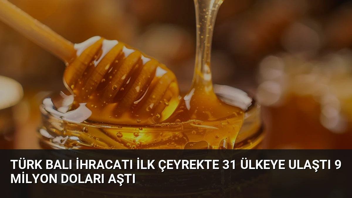 Türk Balı İhracatı İlk Çeyrekte 31 Ülkeye Ulaştı 9 Milyon Doları Aştı