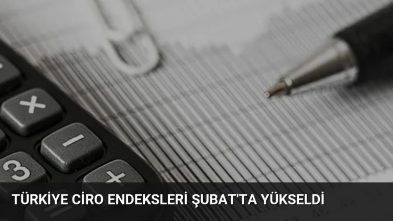 Türkiye Ciro Endeksleri Şubat’ta Yükseldi