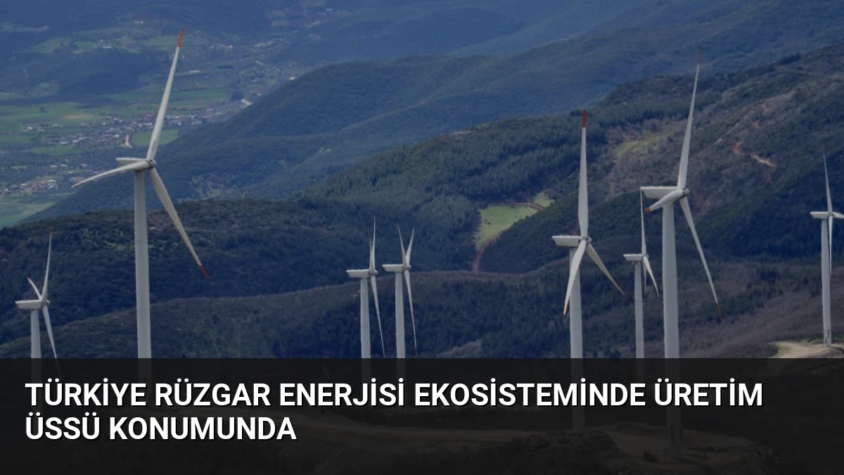 Türkiye Rüzgar Enerjisi Ekosisteminde Üretim Üssü Konumunda