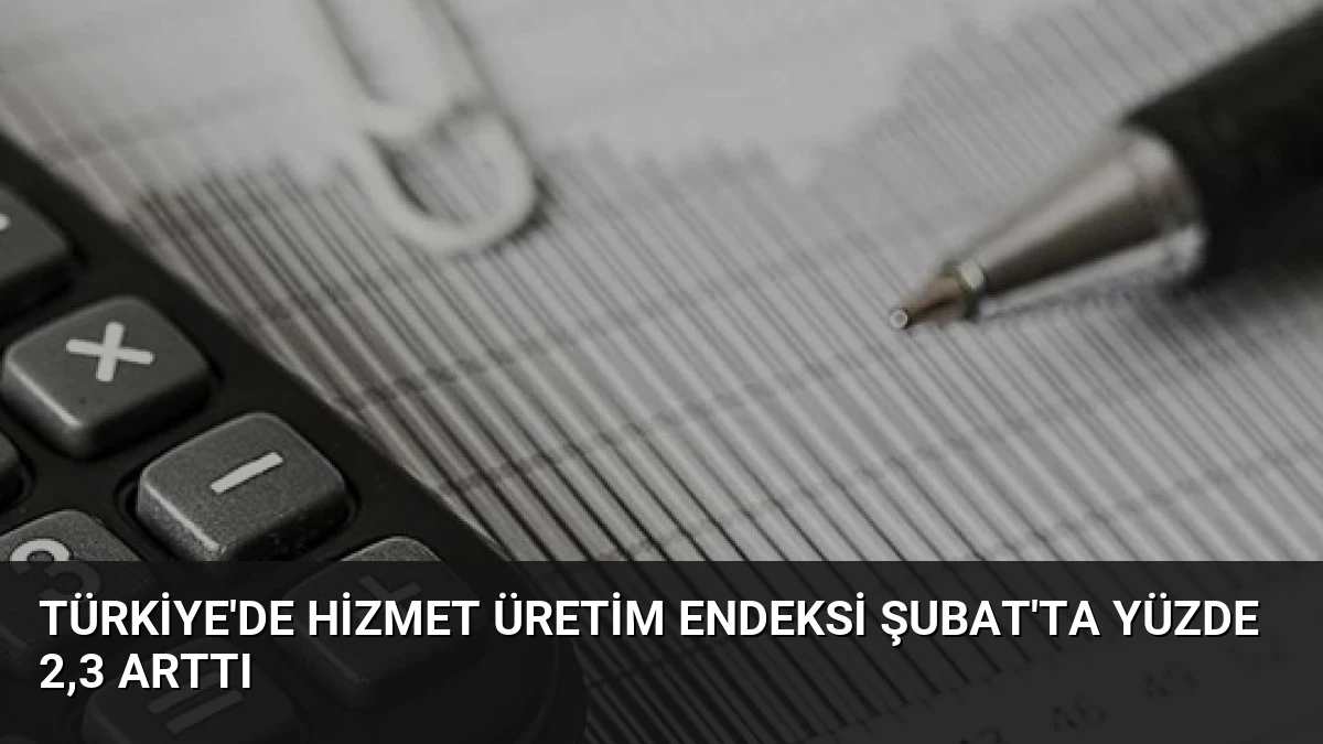 Türkiye’de Hizmet Üretim Endeksi Şubat’ta Yüzde 2,3 Arttı