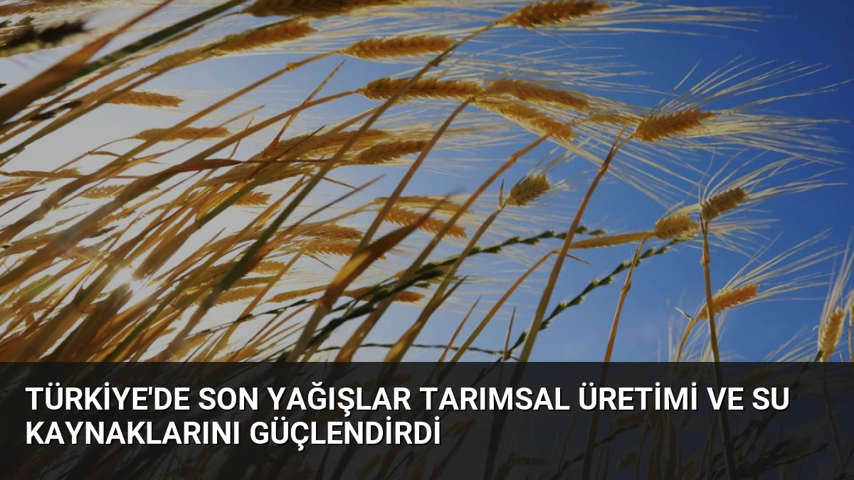 Türkiye’de Son Yağışlar Tarımsal Üretimi ve Su Kaynaklarını Güçlendirdi
