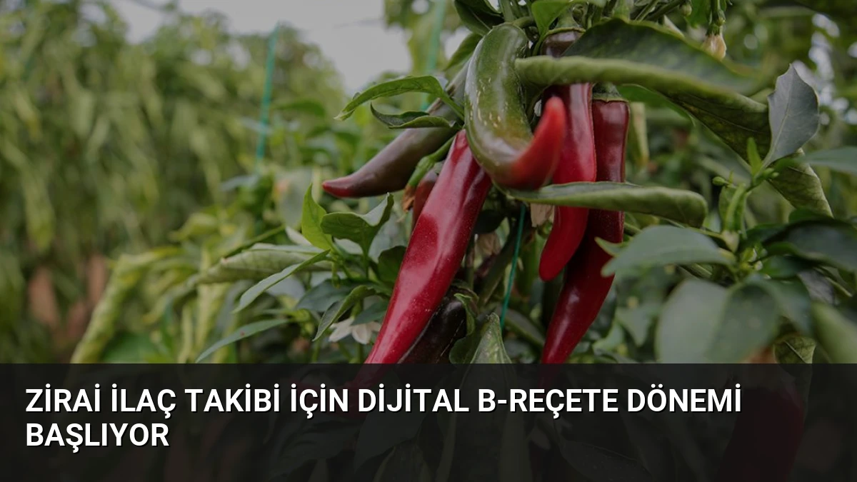 Zirai İlaç Takibi İçin Dijital B-Reçete Dönemi Başlıyor