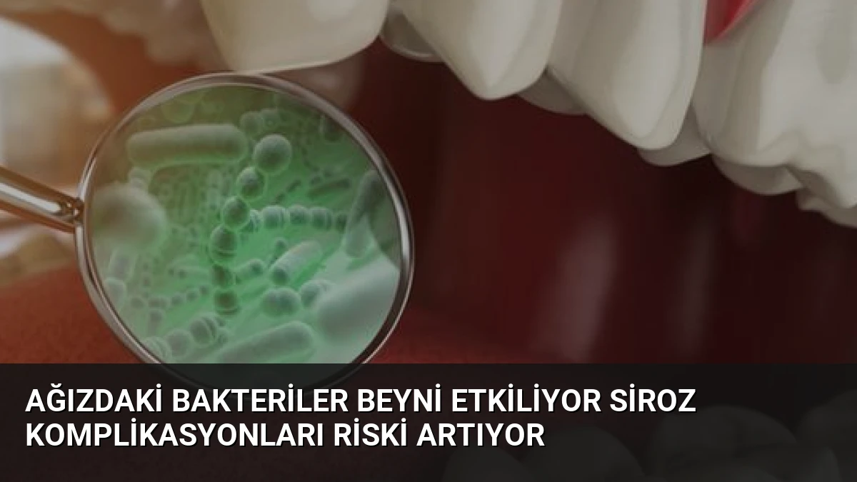 Ağızdaki Bakteriler Beyni Etkiliyor Siroz Komplikasyonları Riski Artıyor