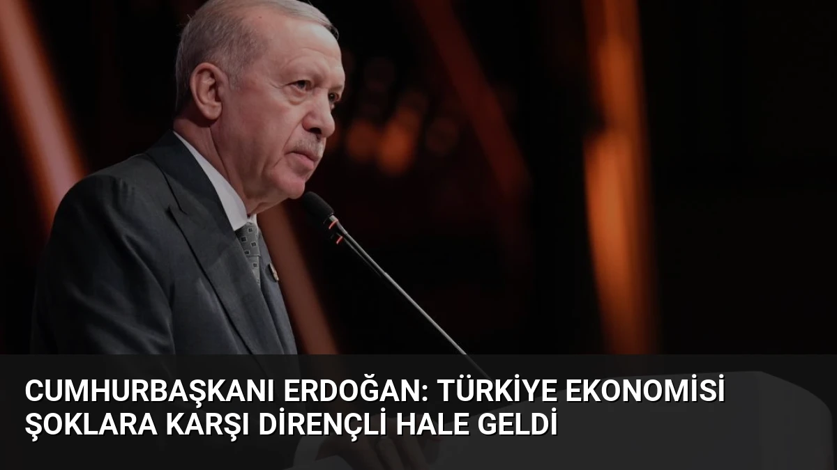 Cumhurbaşkanı Erdoğan: Türkiye Ekonomisi Şoklara Karşı Dirençli Hale Geldi