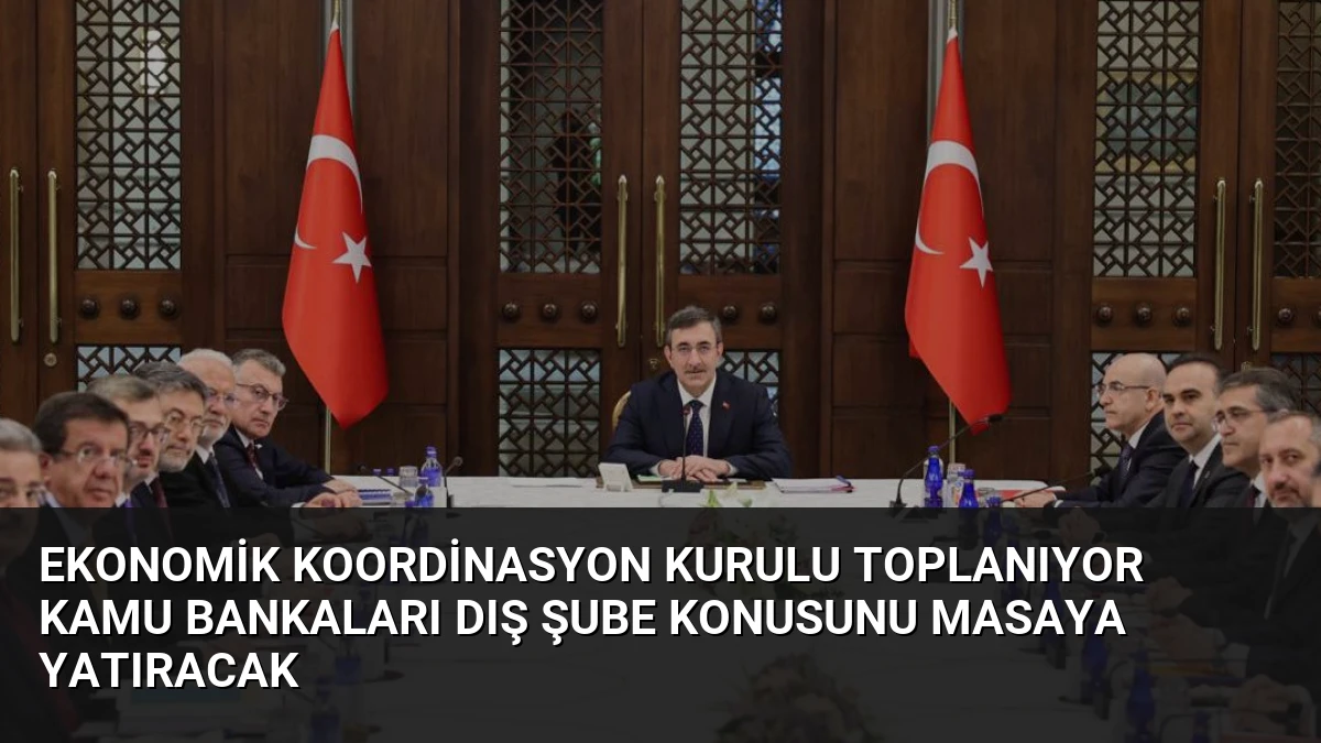 Ekonomik Koordinasyon Kurulu Toplanıyor Kamu Bankaları Dış Şube Konusunu Masaya Yatıracak