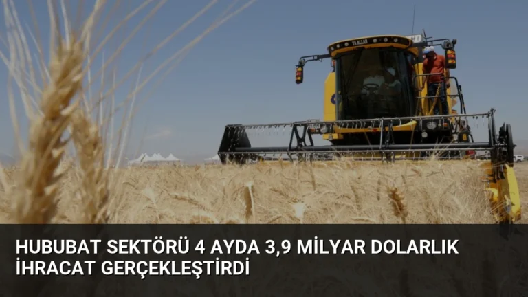 Hububat Sektörü 4 Ayda 3,9 Milyar Dolarlık İhracat Gerçekleştirdi