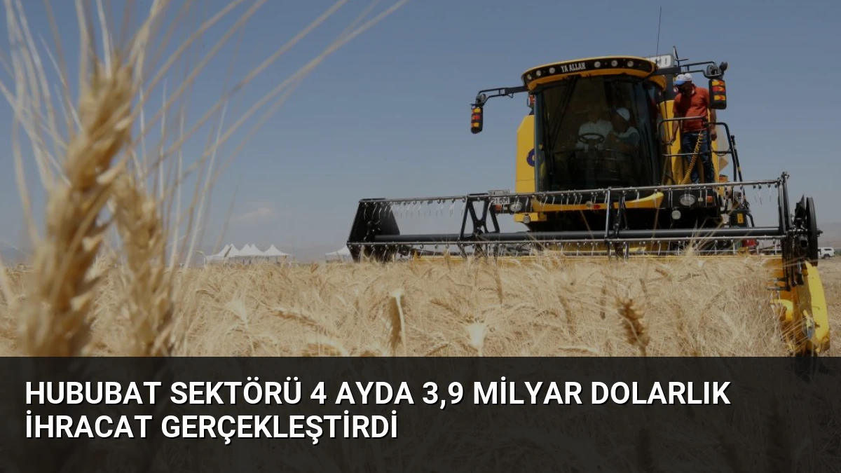 Hububat Sektörü 4 Ayda 3,9 Milyar Dolarlık İhracat Gerçekleştirdi