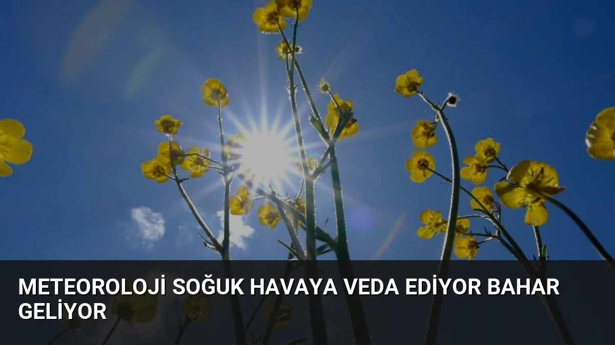 Meteoroloji Soğuk Havaya Veda Ediyor Bahar Geliyor