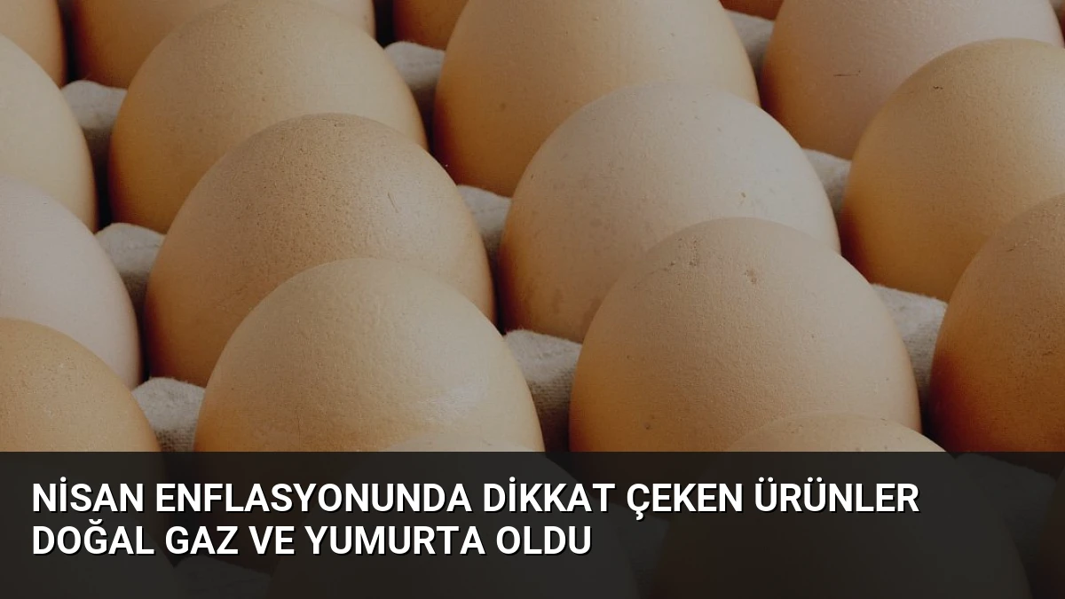 Nisan Enflasyonunda Dikkat Çeken Ürünler Doğal Gaz ve Yumurta Oldu