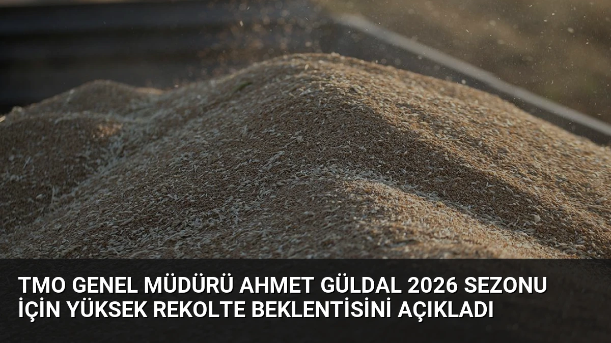 TMO Genel Müdürü Ahmet Güldal 2026 Sezonu İçin Yüksek Rekolte Beklentisini Açıkladı