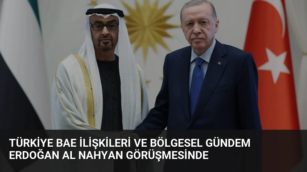 Türkiye BAE İlişkileri ve Bölgesel Gündem Erdoğan Al Nahyan Görüşmesinde