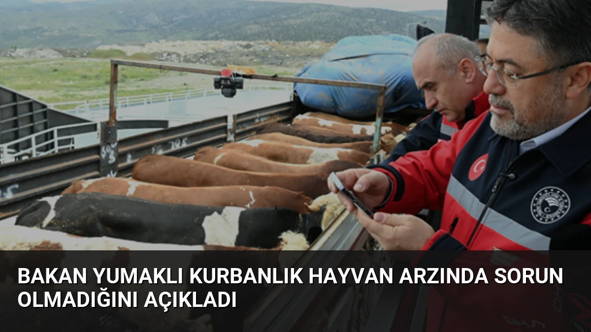 Bakan Yumaklı Kurbanlık Hayvan Arzında Sorun Olmadığını Açıkladı