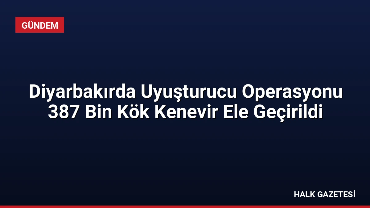 Diyarbakırda Uyuşturucu Operasyonu 387 Bin Kök Kenevir Ele Geçirildi