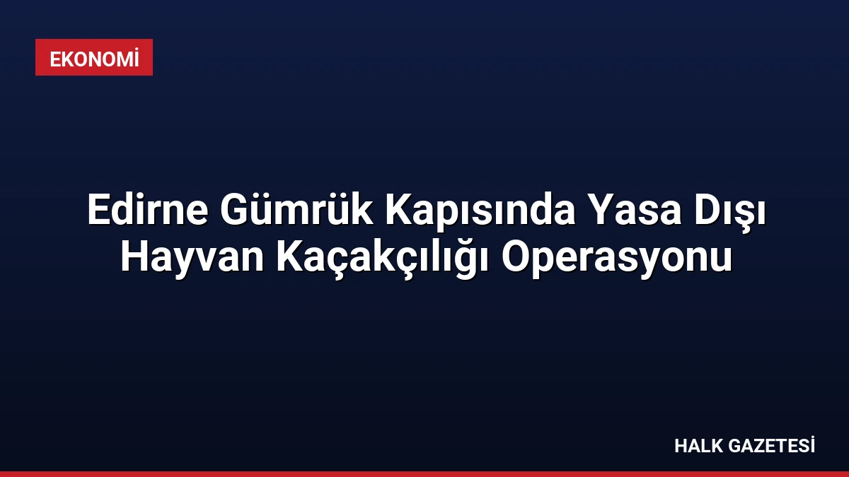 Edirne Gümrük Kapısında Yasa Dışı Hayvan Kaçakçılığı Operasyonu