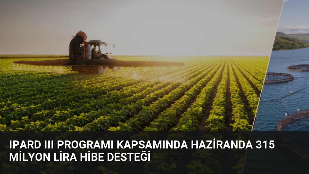IPARD III Programı Kapsamında Haziranda 315 Milyon Lira Hibe Desteği