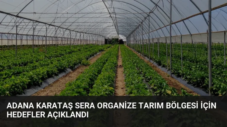 Adana Karataş Sera Organize Tarım Bölgesi İçin Hedefler Açıklandı