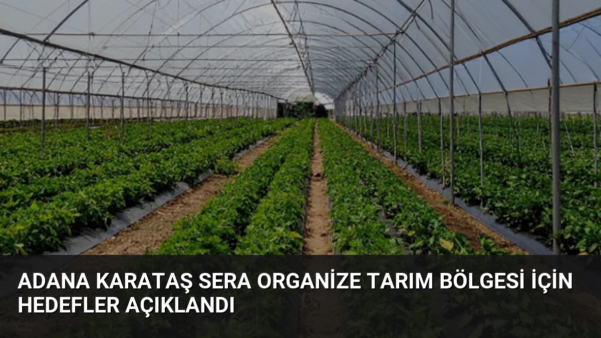 Adana Karataş Sera Organize Tarım Bölgesi İçin Hedefler Açıklandı
