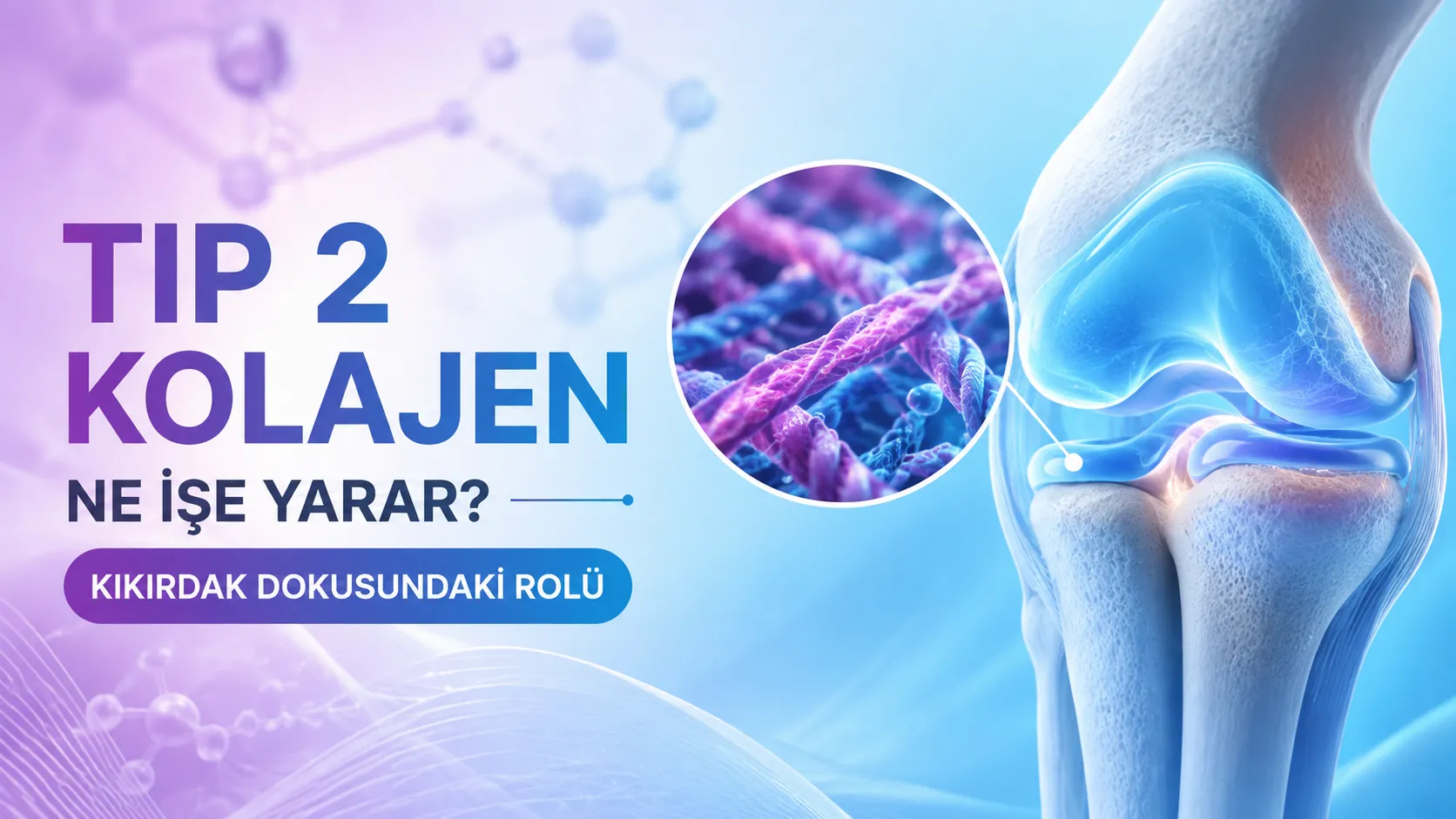Tip 2 Kolajen Ne İşe Yarar? Kıkırdak Dokusundaki Rolü