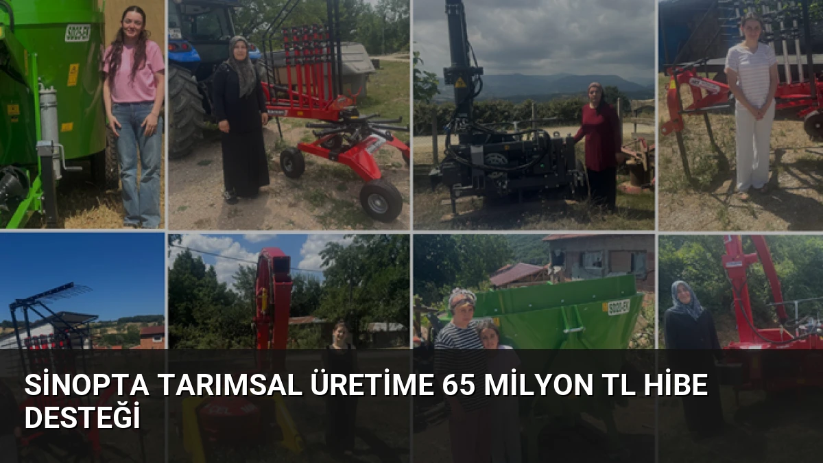 Sinopta Tarımsal Üretime 65 Milyon TL Hibe Desteği
