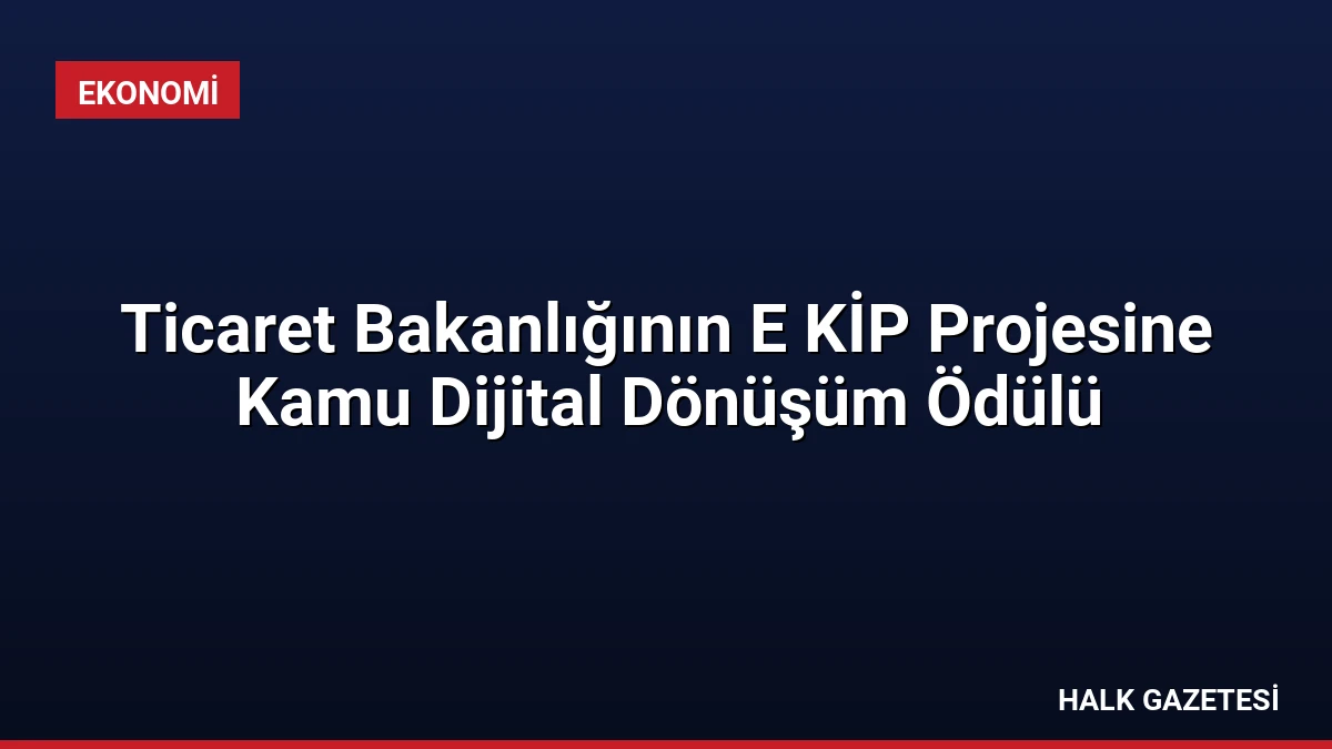 Ticaret Bakanlığının E KİP Projesine Kamu Dijital Dönüşüm Ödülü