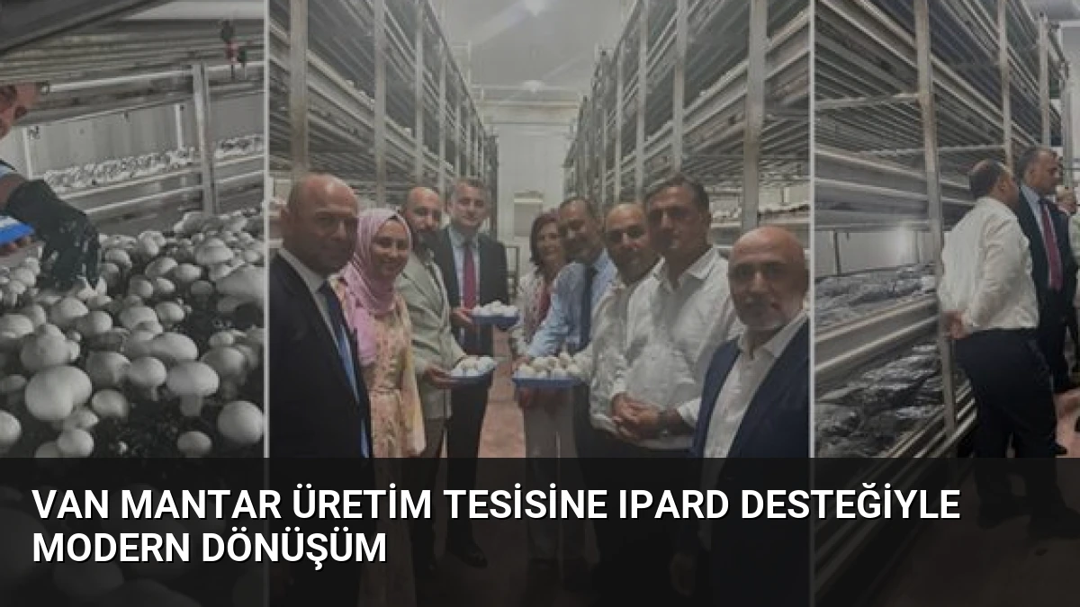 Van Mantar Üretim Tesisine IPARD Desteğiyle Modern Dönüşüm