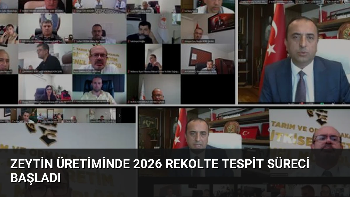 Zeytin Üretiminde 2026 Rekolte Tespit Süreci Başladı