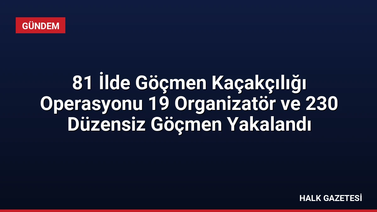 81 İlde Göçmen Kaçakçılığı Operasyonu 19 Organizatör ve 230 Düzensiz Göçmen Yakalandı