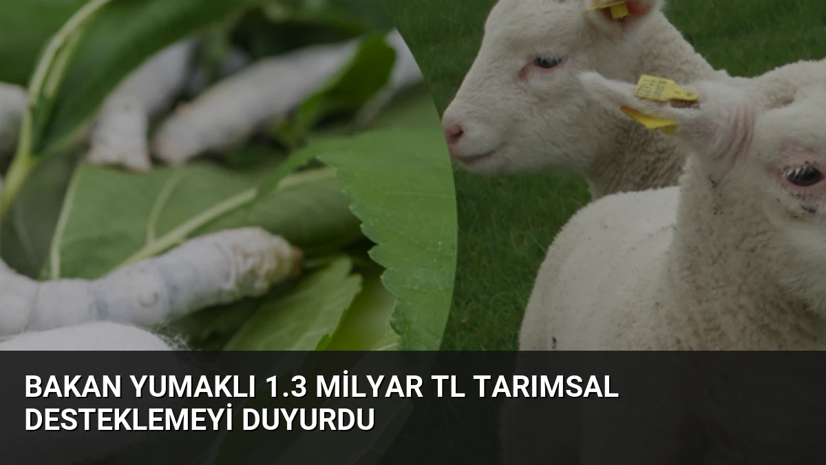 Bakan Yumaklı 1.3 Milyar TL Tarımsal Desteklemeyi Duyurdu