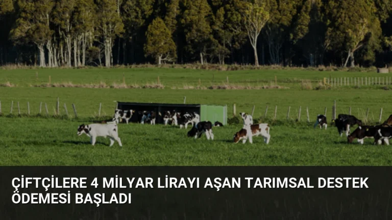 Çiftçilere 4 Milyar Lirayı Aşan Tarımsal Destek Ödemesi Başladı
