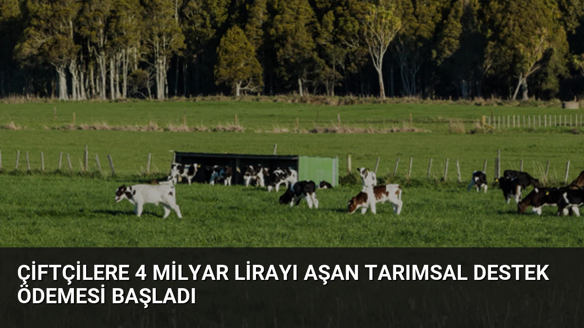 Çiftçilere 4 Milyar Lirayı Aşan Tarımsal Destek Ödemesi Başladı