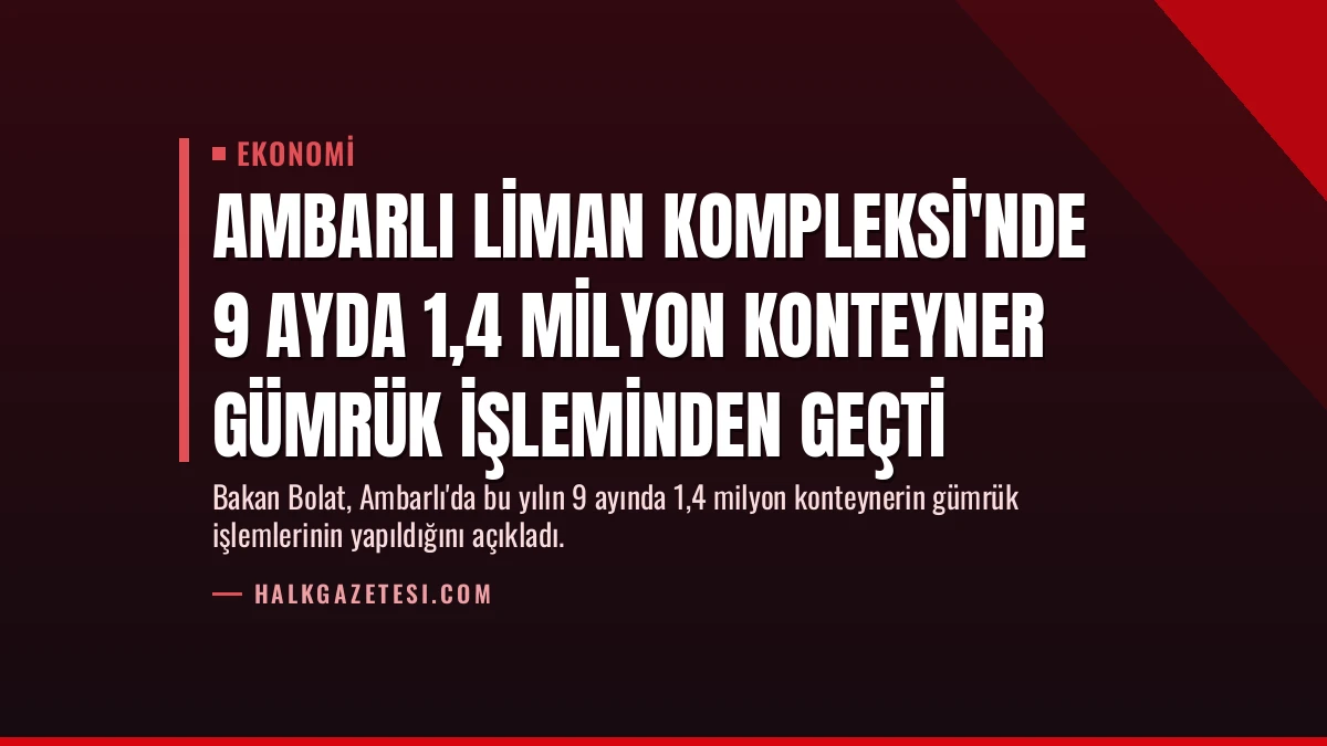Ambarlı Liman Kompleksi’nde 9 Ayda 1,4 Milyon Konteyner Gümrük İşleminden Geçti